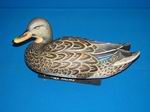 Bob Gohl-Hen Mallard