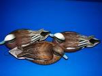 Widgeon-top view