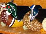 Wood Ducks