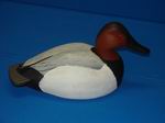 Mag. Canvasback Drake