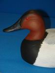 Mag. Canvasback Drake