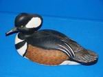 Hooded Merganser-Drake