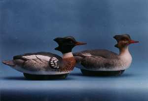 LSBredbremerganser