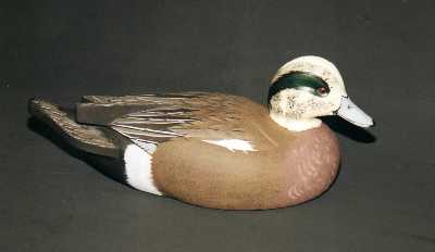 Widgeon