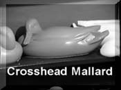 Mallard - Crosshead