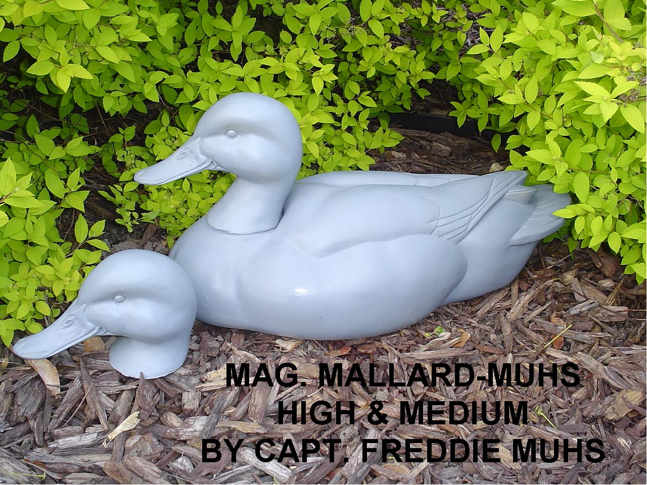 Muhs Mag. Mallard