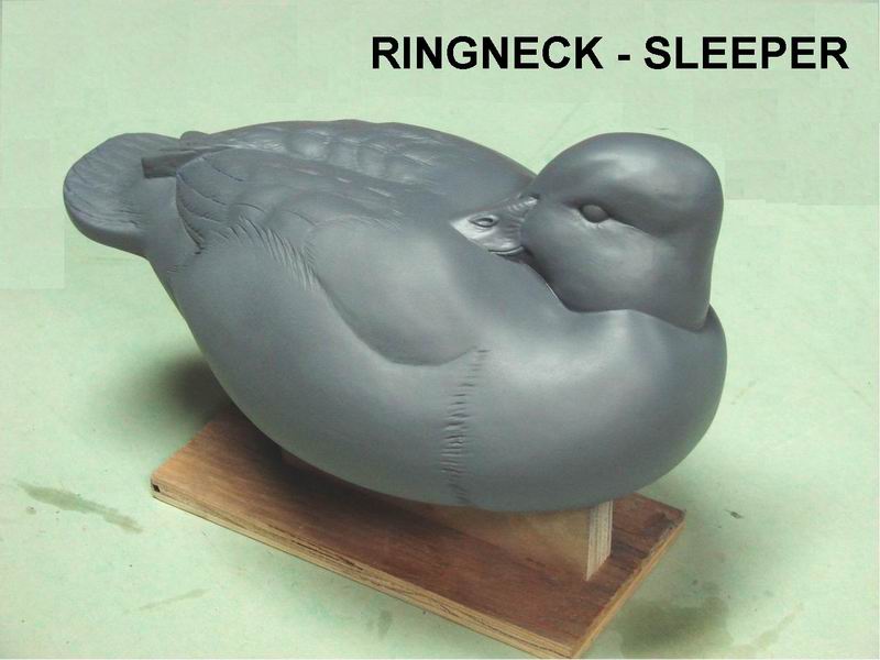 Ringneck Sleeper