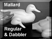 Mallard