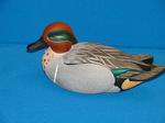 GW Teal Drake