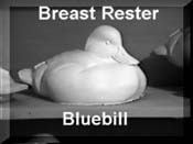 Bluebill Rester