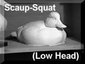 Scaup Squat