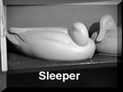 Mallard - Sleeper