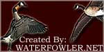 Waterfowl Refuge